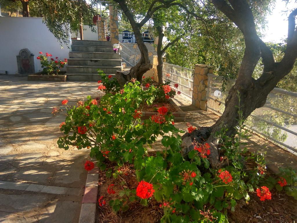 Karantola Studios Kallirachi Skala Kallirachis Exterior foto